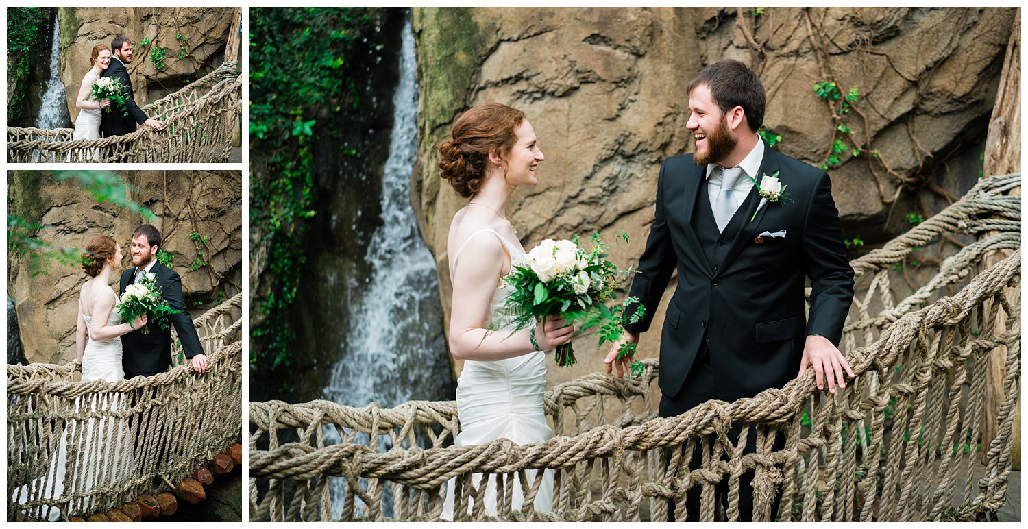 first look blank park zoo wedding