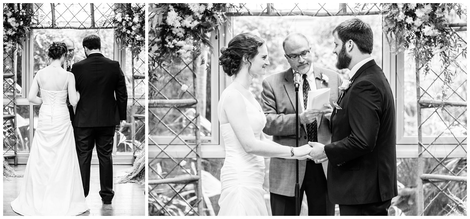 getting married blank park zoo