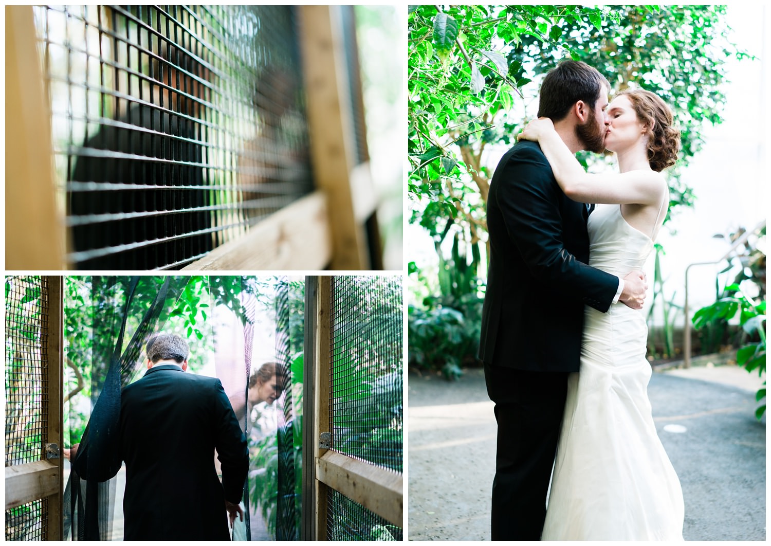 blank park zoo wedding bride and groom kissing